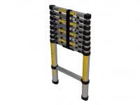 Telescopic Ladder